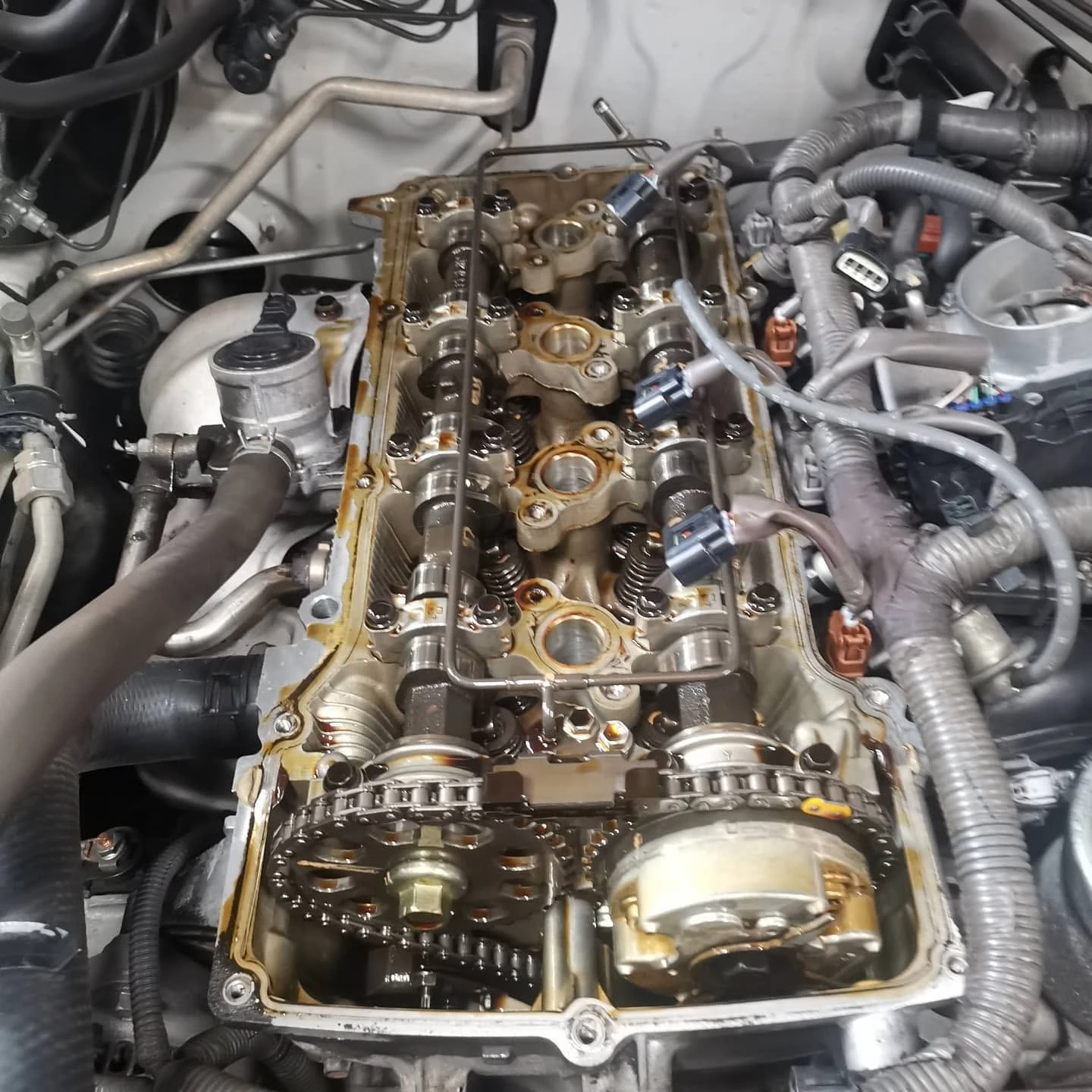 Toyota DOHC engine with valve cover removed exposing camshafts and timing chain during a logbook service in Cairns